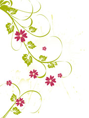 Obraz na płótnie Canvas Florale Ranken und Blüten