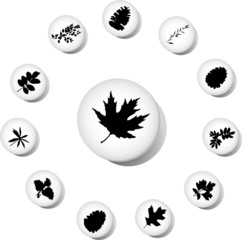 The set from silhouettes of leaflets of plants