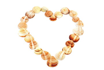 heart  love