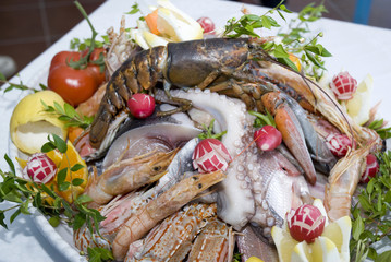 Fish