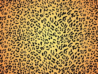 Seamless skin fur print pattern leopard