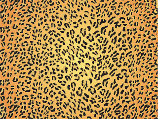 Seamless skin fur print pattern leopard