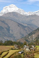 Nepalese village in annapurna  area, Dhaulagiri peak