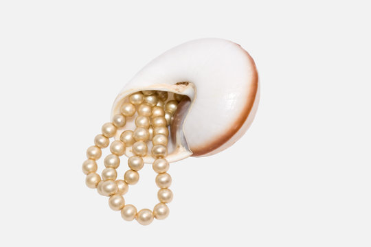 Pearl beads in a cockleshell