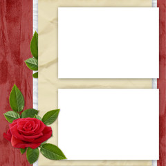 White frame with rose and leaves on the red background