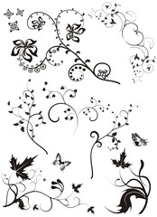 Collection of vector floral patterns