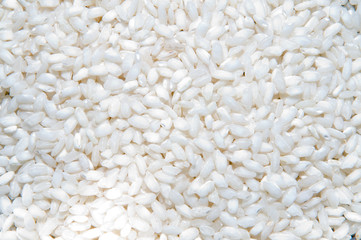 rice background