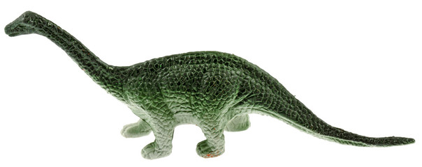 dinosaure fond blanc