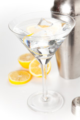 stainless azero shaker