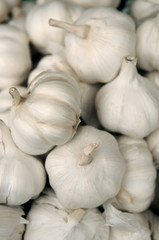 white garlic