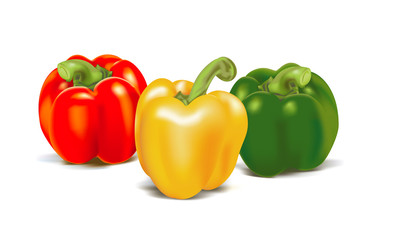 Three ripe colored sweet peppers. Vector illustration