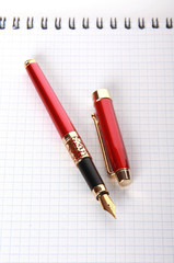 Red fountain-pen and note pad