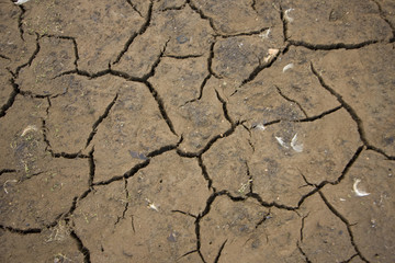 some cracks in mud which dries