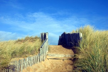 road on the beach