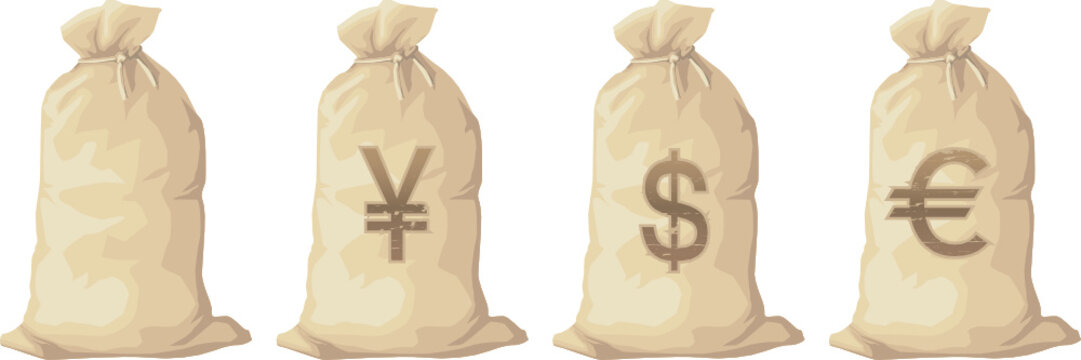 Gold coin bag