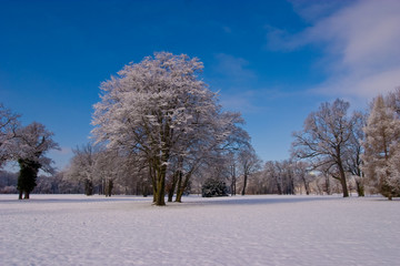 Fototapeta premium Winterlandschaft in Potsdam