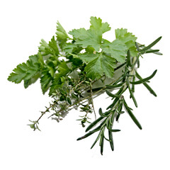 persil, estragon, thym