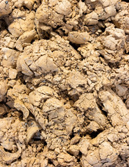 Background of yellow clay texture