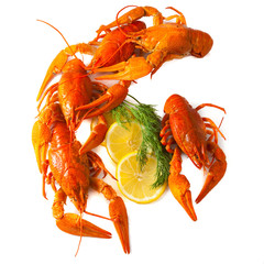 Red crawfishes with lemon and dill isolated