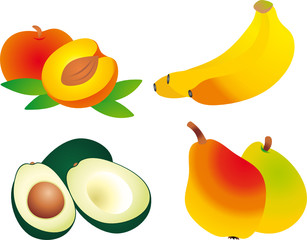 Fruits vector