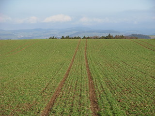 Ackerbau