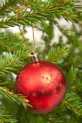Obraz na płótnie Canvas Red christmas ball on Christmas tree