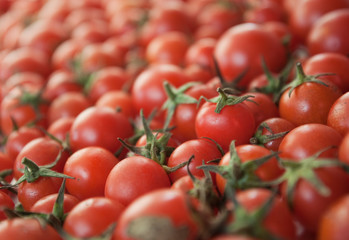 pomodori
