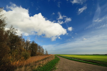 Fototapeta na wymiar Typical Dutch country landscape in Marken