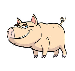 pig