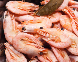 shrimp on black