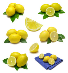 Lemon Sampler
