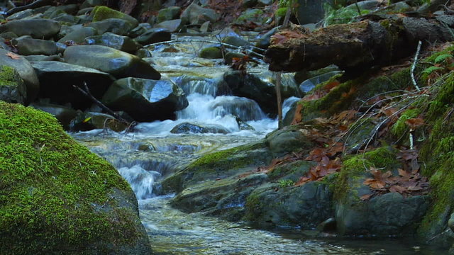 Peaceful brook