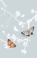 blooming plum-tree and butterflies