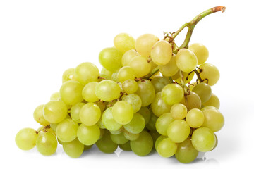 Branch of green grapes on the white background