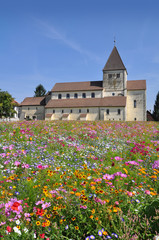 kirche auf der binsel Reichenau