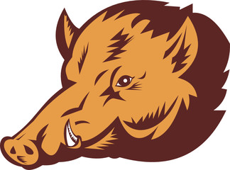 Wild Boar