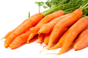 carrot