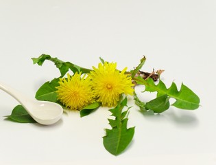 Löwenzahn und Keramiklöffel