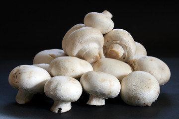 champignons - pilze