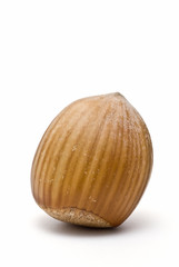 Avellana de pie.