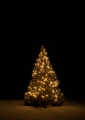 Adventszeit