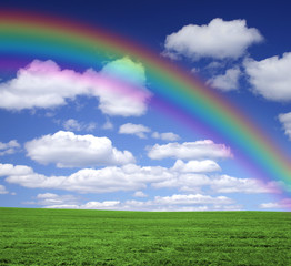 Rainbow over a green field