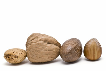 Colección de fruto seco.