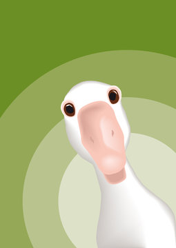 Gans