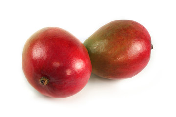 Mango friuts isolated