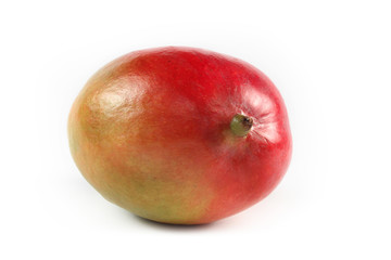 Mango isolated