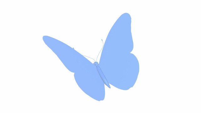 blue butterfly animation seamless loopping