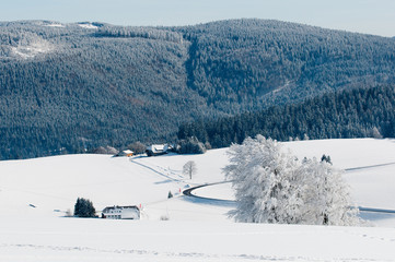 Shauinsland in winter