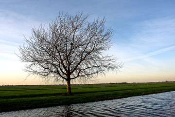Dutch Landscape