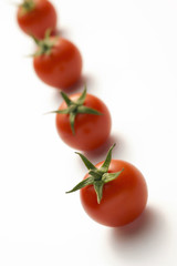 Tomatoes 4